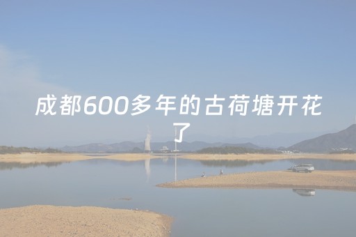 必看教程“手机拼三张怎样能赢（助赢神器通用版）