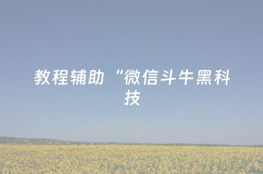 教程辅助“微信斗牛黑科技（助赢神器通用版）