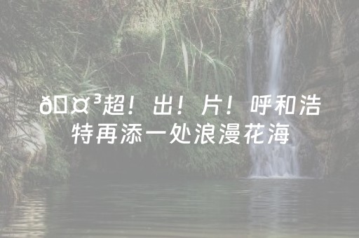 胜率设置方法“星悦麻将胡牌神器（助赢神器通用版）