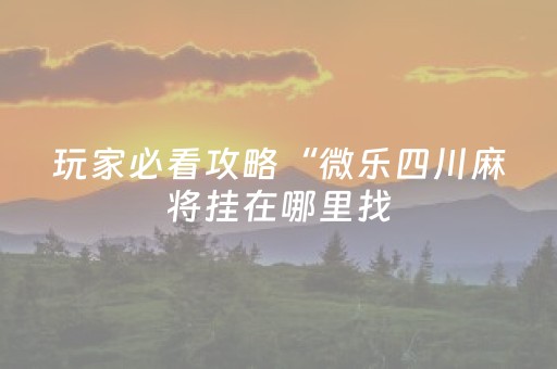 玩家必看攻略“微乐四川麻将挂在哪里找（专用辅牌神器免安装）