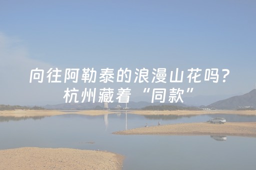 实测教程“普通麻将机万能解码器（助赢神器通用版）