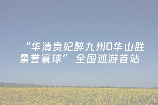 实测教程“5个红包尾数的概率”（详细透视教程）-哔哩哔哩