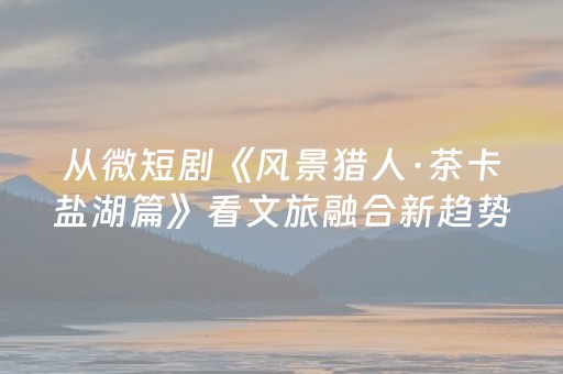 实测分享“微乐陕西麻将挖坑专用神器”（详细透视教程）-哔哩哔哩