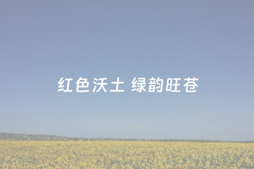 3分钟学会“QQ真的有玩埋雷避雷开挂辅助软件”（详细透视教程）-哔哩哔哩