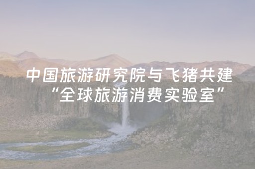 终于发现了“能掌控麻将机的小神器”（详细透视教程）-哔哩哔哩