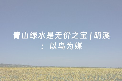 实测结果“微信qq红包控制尾数设置金额软件扫雷”（详细透视教程）-哔哩哔哩