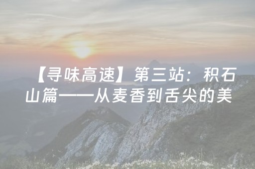实测教程“微乐海南麻将助赢神器（专用辅牌神器免安装）