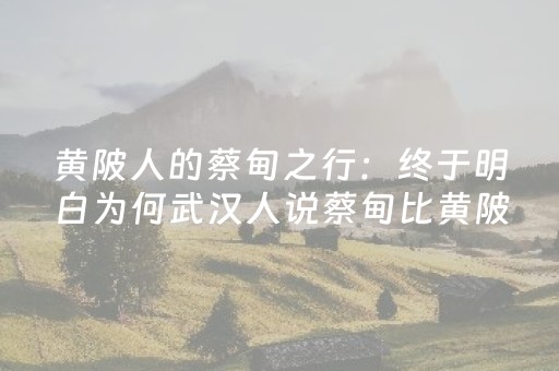实测教程“微乐陕西挖坑助赢神器”（详细透视教程）-哔哩哔哩
