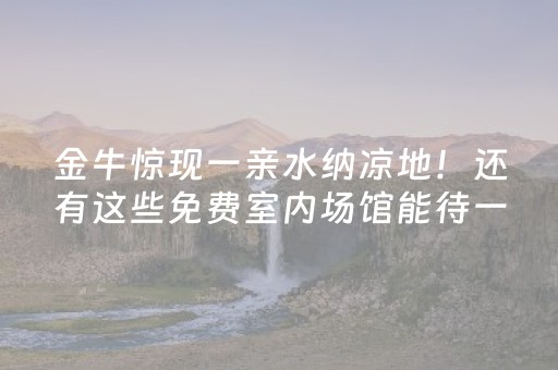 3分钟学会“聊呗有控制红包尾数的挂吗”（详细透视教程）-哔哩哔哩