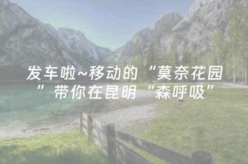 实测结果“程序麻将app下载安装”（详细透视教程）-哔哩哔哩