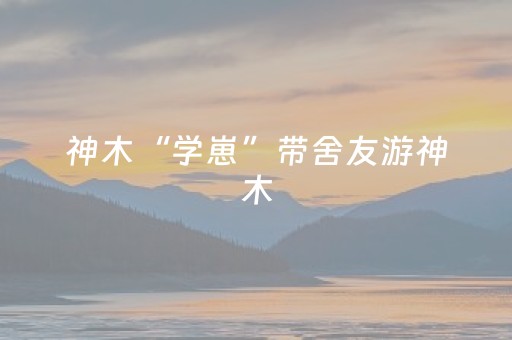 终于发现了“雀神辅助器ios版下载（助赢神器通用版）
