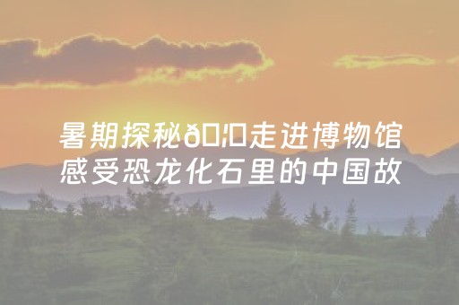 实测教程“微乐麻将自建房输赢规律”（详细透视教程）-哔哩哔哩