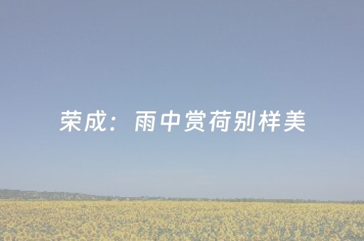 玩家必看攻略“白金岛三打哈辅助工具（专用辅牌神器免安装）