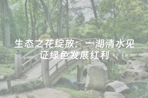 教程辅助“九九山城麻将选牌器（助赢神器通用版）