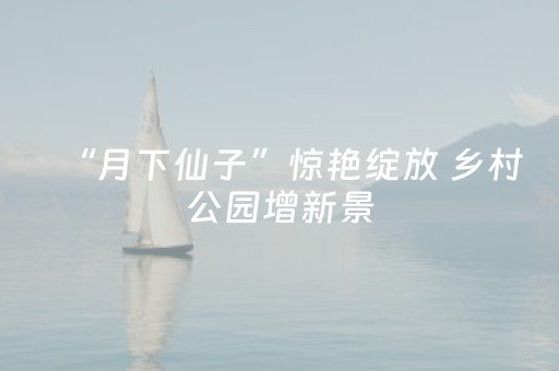 实测分享“微乐内蒙麻将怎样设置好牌”（详细透视教程）-哔哩哔哩