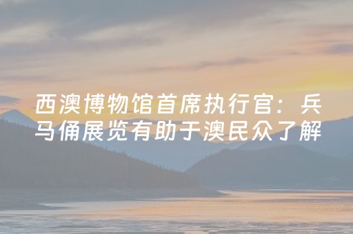 西澳博物馆首席执行官：兵马俑展览有助于澳民众了解中国文化