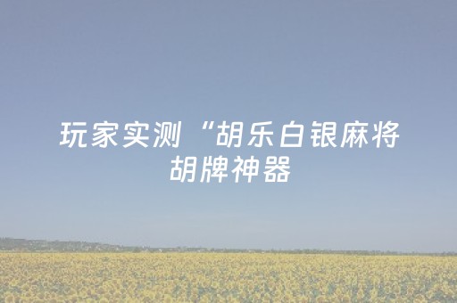 玩家实测“胡乐白银麻将胡牌神器（助赢神器通用版）