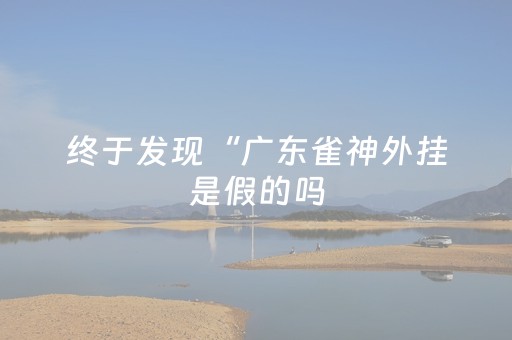 终于发现“广东雀神外挂是假的吗（助赢神器通用版）
