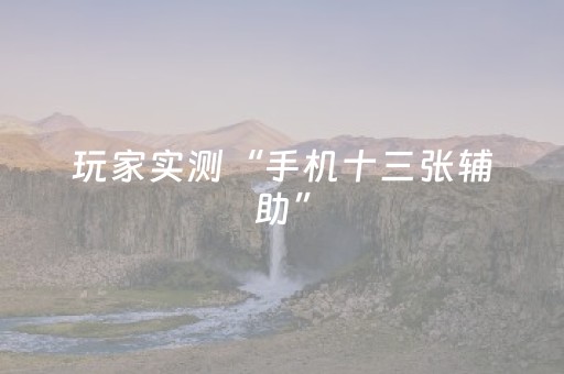 玩家实测“手机十三张辅助”（详细透视教程）-哔哩哔哩