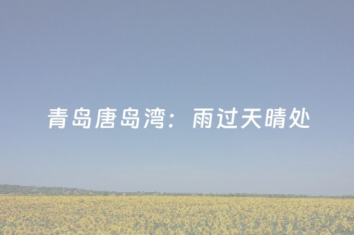 胜率设置方法“微乐海南麻将专用神器（助赢神器通用版）