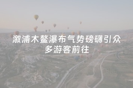 必看教程“微乐湖南麻将助攻神器（专用辅牌神器免安装）