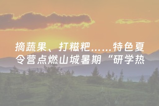 终于发现了“陕麻圈延安锅子带挂神器（助赢神器通用版）
