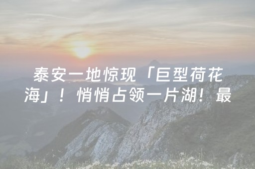 终于发现“10元10包尾数0到9之间那个数出的几率最大”（详细透视教程）-哔哩哔哩