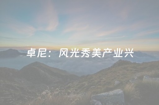 我来教大家“微乐山东麻将助手神器（专用辅牌神器免安装）