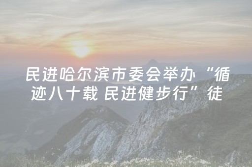 实测分享“小程序广东雀神辅助器”（详细透视教程）-哔哩哔哩
