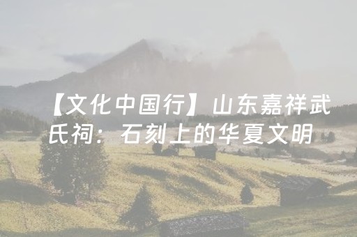 【文化中国行】山东嘉祥武氏祠：石刻上的华夏文明