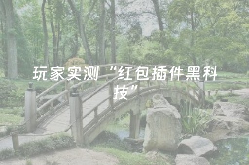 玩家实测“红包插件黑科技”（详细透视教程）-哔哩哔哩