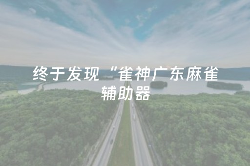 终于发现“雀神广东麻雀辅助器（专用辅牌神器免安装）