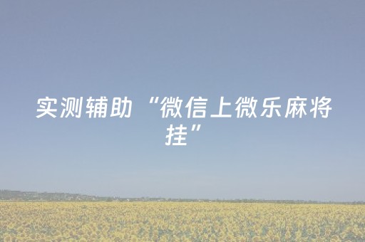 实测辅助“微信上微乐麻将挂”（详细透视教程）-哔哩哔哩