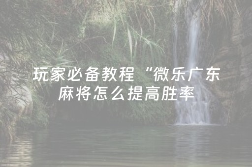 玩家必备教程“微乐广东麻将怎么提高胜率（助赢神器通用版）