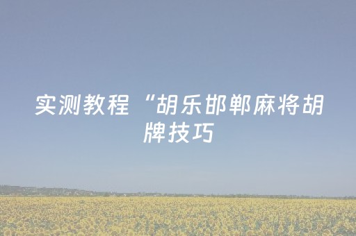 实测教程“胡乐邯郸麻将胡牌技巧（专用辅牌神器免安装）