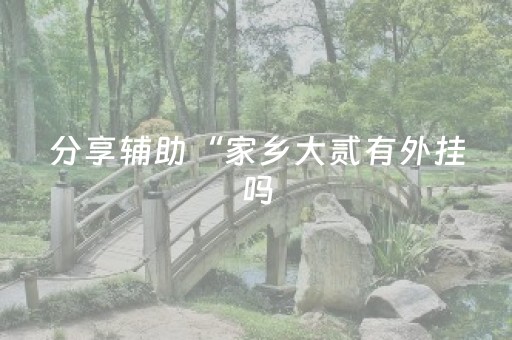 分享辅助“家乡大贰有外挂吗（专用辅牌神器免安装）