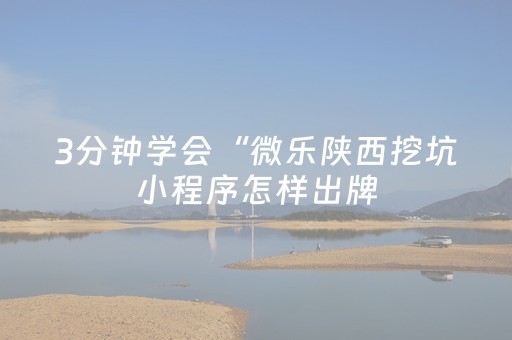 3分钟学会“微乐陕西挖坑小程序怎样出牌（专用辅牌神器免安装）