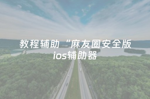 教程辅助“麻友圈安全版ios辅助器（专用辅牌神器免安装）