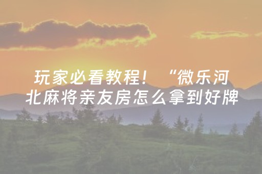 玩家必看教程！“微乐河北麻将亲友房怎么拿到好牌”（详细辅助教程）-哔哩哔哩