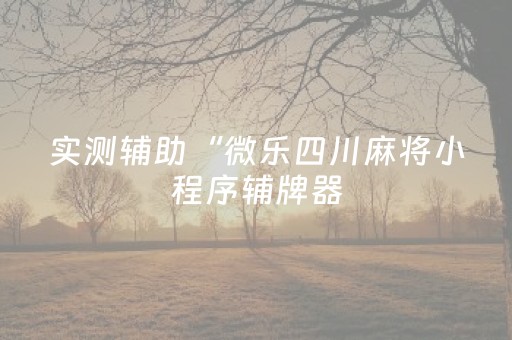 实测辅助“微乐四川麻将小程序辅牌器（专用辅牌神器免安装）
