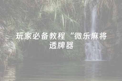 玩家必备教程“微乐麻将透牌器（助赢神器通用版）