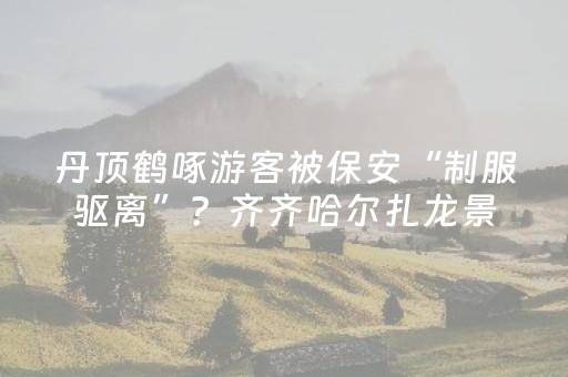 分享辅助“功夫川麻外挂设置（专用辅牌神器免安装）
