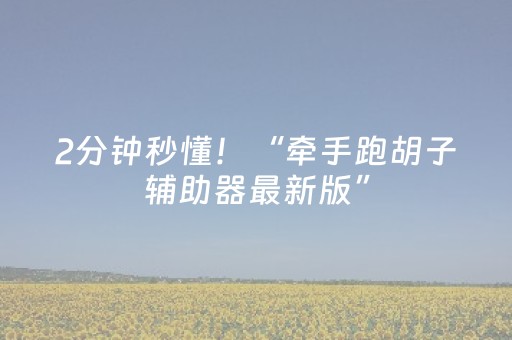 2分钟秒懂！“牵手跑胡子辅助器最新版”（详细开挂教程）-哔哩哔哩