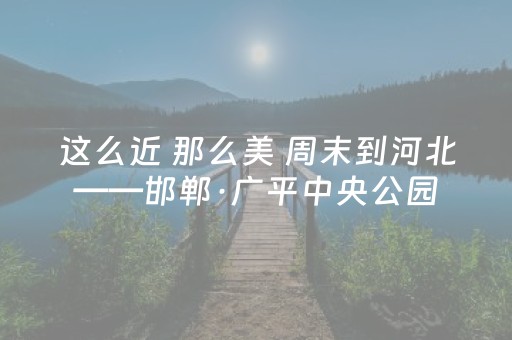 玩家实测“微乐河北麻将的挂在哪找”（详细透视教程）-哔哩哔哩