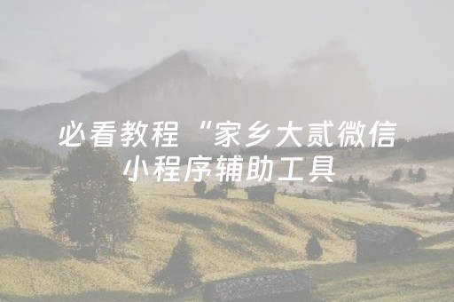 必看教程“家乡大贰微信小程序辅助工具（助赢神器通用版）