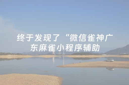 终于发现了“微信雀神广东麻雀小程序辅助（专用辅牌神器免安装）