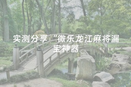 实测分享“微乐龙江麻将漏宝神器（助赢神器通用版）
