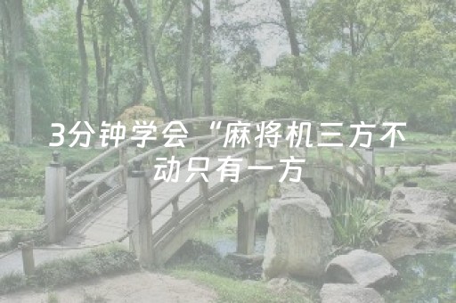 3分钟学会“麻将机三方不动只有一方（助赢神器通用版）