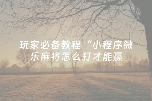 玩家必备教程“小程序微乐麻将怎么打才能赢（专用辅牌神器免安装）