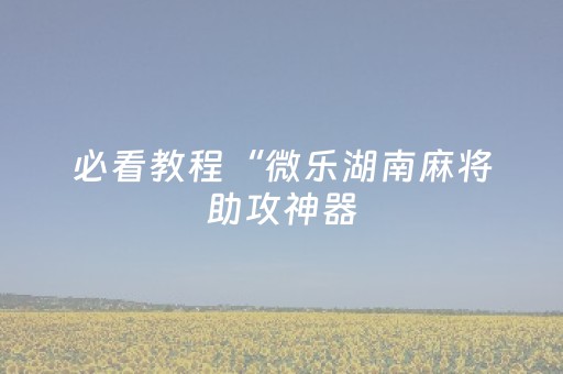 终于发现“麻将机程序安装器随身携带”（详细透视教程）-哔哩哔哩